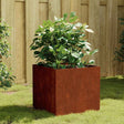Vidaxl plantenbak 40x41x40 cm cortenstaal