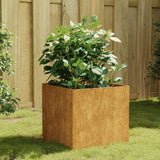 VIDAXL -Planungsbox 40x41x40 cm Corten Stahl