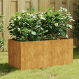 VIDAXL -Planungsbox 80x40x40 cm Corten Stahl