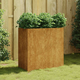 Vidaxl Planning Box 80x40x80 cm Corten Steel