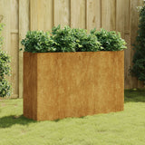 Vidaxl Planter a augmenté 120x40x80 cm Cortenstaal