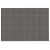 VIDAXL FAIBLAGE COUVERTURE 140x200 cm 6 kg de gris de tissu