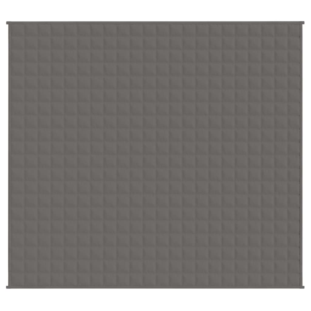 VIDAXL FAIBLAGE COUVERTURE 200X220 cm 13 kg de gris de tissu