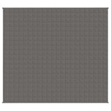 VIDAXL FAIBLAGE COUVERTURE 200X220 cm 13 kg de gris de tissu