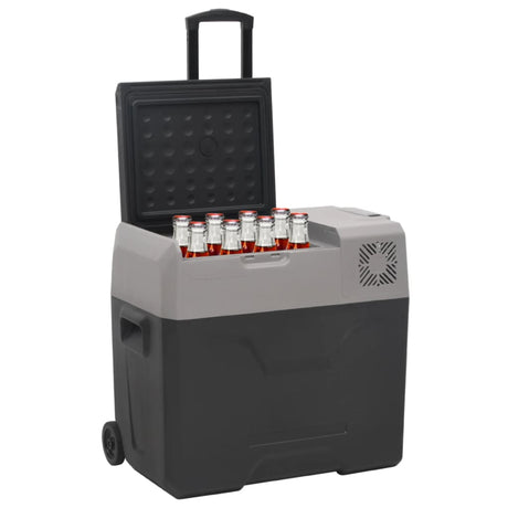 Vidaxl koelbox met wielen en adapter 50 l polypropeen zwart en grijs