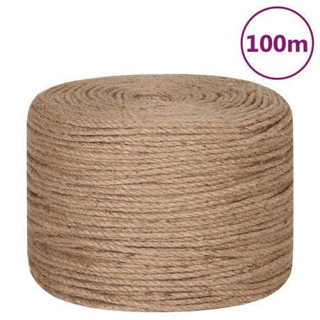 Vidaxl touw 100 m lang 6 mm dik jute