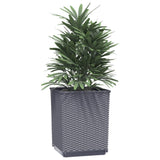 Vidaxl Planters 2 St 30x30x37 cm polypropen mørk grå