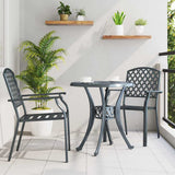 Vidaxl tuinstoel 2 st antraciet staal