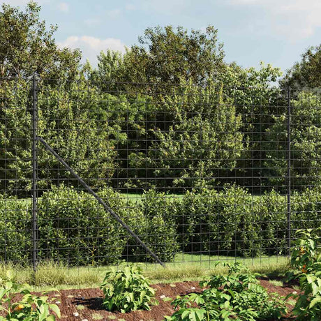 Vidaxl draadgaashek met grondankers 1,6x10 m antracietkleurig