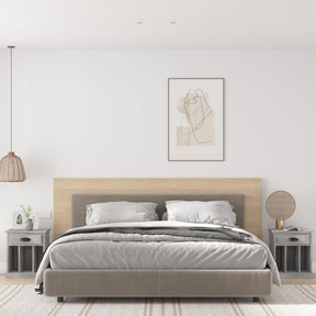 Vidaxl nachtkastjes 2 st 43x36x50 cm betongrijs