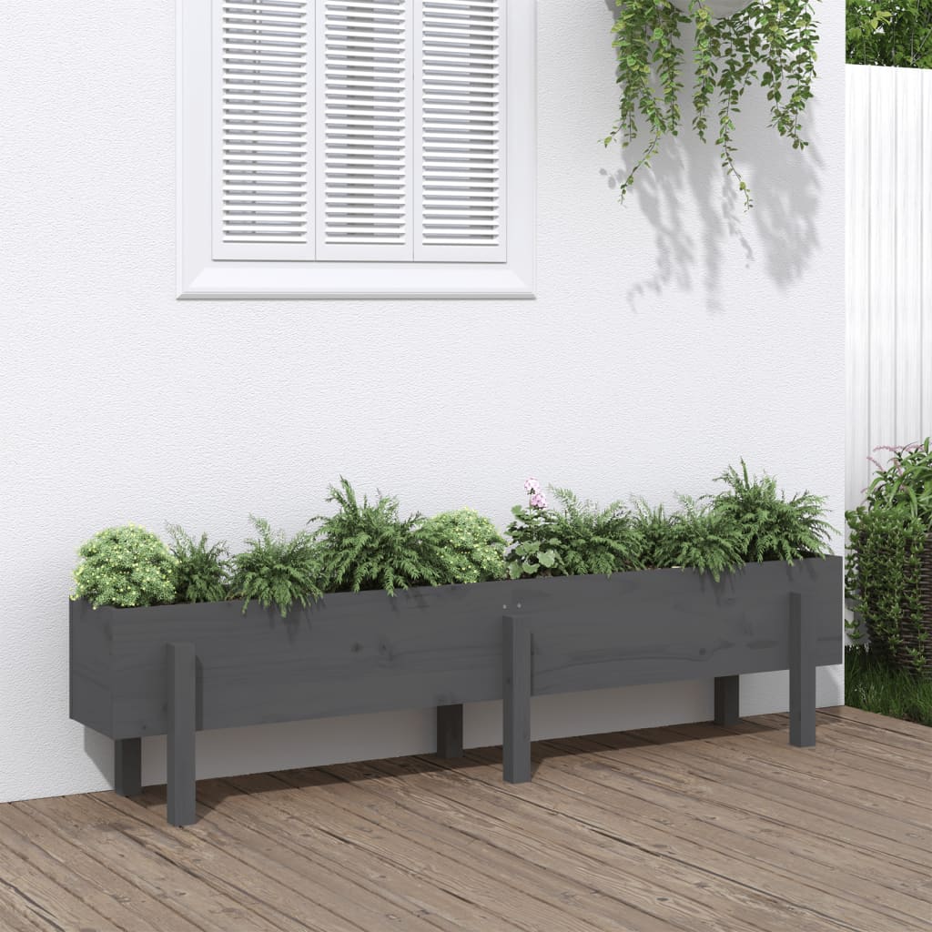 Plantador Vidaxl elevado 160x30x38 cm de pino sólido gris