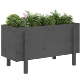 Vidaxl Planter hevet 101x50x57 cm fast furugrå