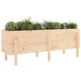 Vidaxl plantenbak verhoogd 160x50x57 cm massief grenenhout