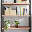 Vidaxl wandschap 100x50x(2-4)cm behandeld massief eikenhout lichtbruin