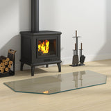 Vidaxl vuurplaats glazen plaat doorzichtig 100 x 50 cm glas