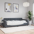 Vidaxl slaapbank 80x200 cm fluweel donkergrijs