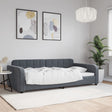 Vidaxl slaapbank 100x200 cm fluweel donkergrijs