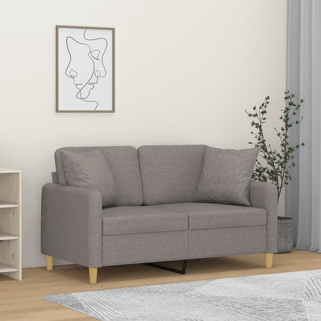 Vidaxl tweezitsbank met sierkussens 120 cm stof lichtgrijs