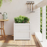 Vidaxl plantenbak 50x50x50 cm massief grenenhout wit