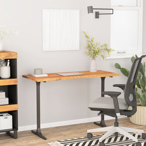 Vidaxl bureaublad rechthoekig 120x60x2,5 cm massief acaciahout