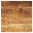 Vidaxl tafelblad vierkant 60x60x2,5 cm massief ruw mangohout