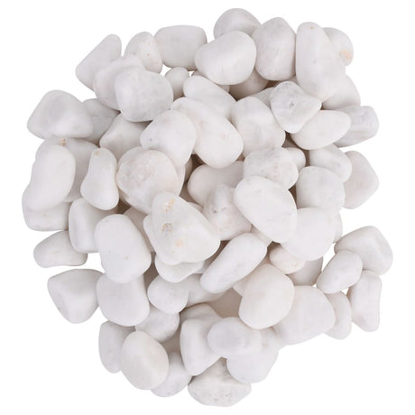 Vidaxl kiezelstenen gepolijst 2-5 cm 25 kg wit