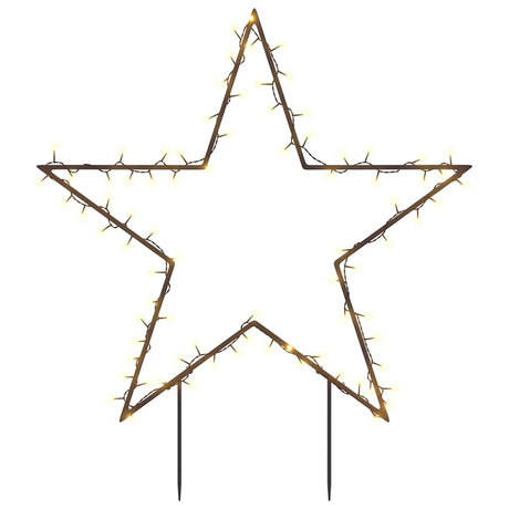 Vidaxl kerstverlichting ster met grondpinnen 80 led's 60 cm