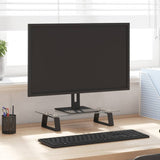 VidaXL monitor standard 40x20x8 cm hardened glass and metal black