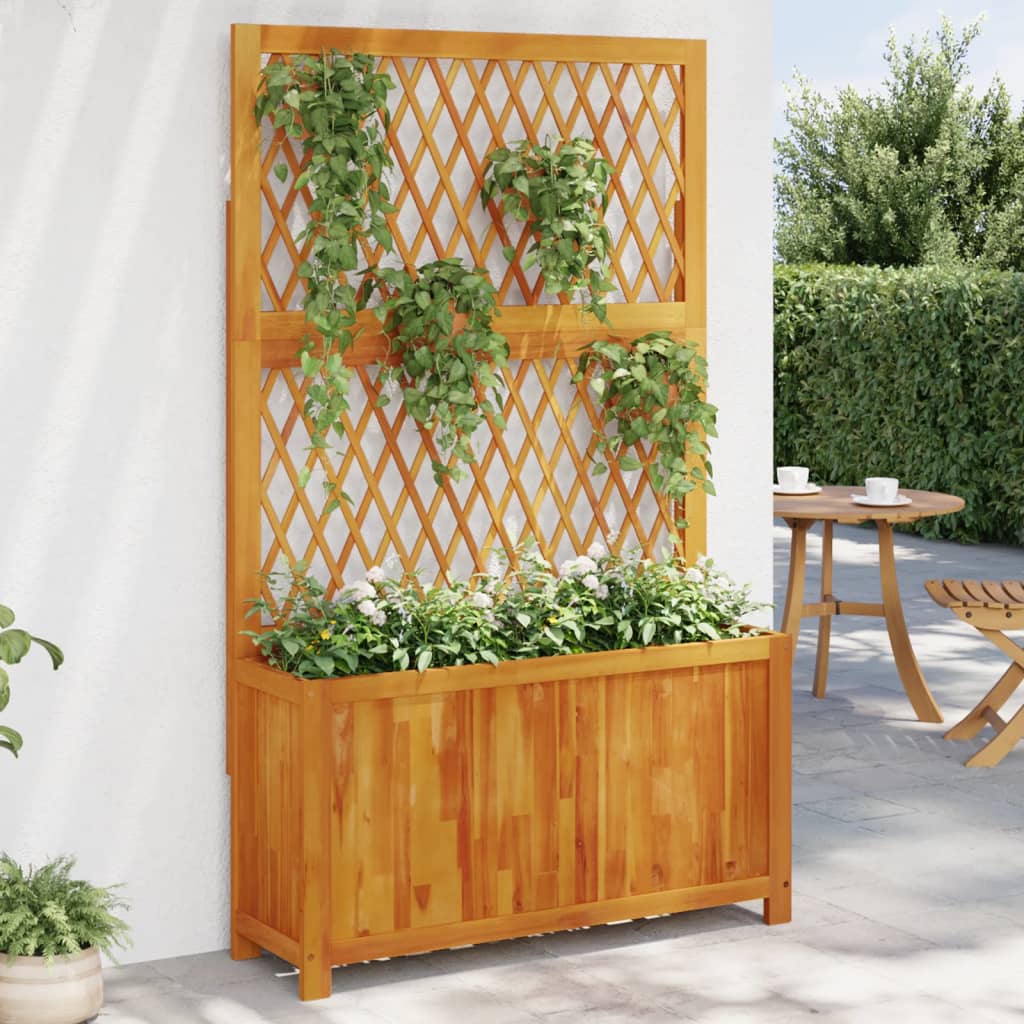 Plantador Vidaxl con latwerk 100x32x165 cm sólido acaciahout