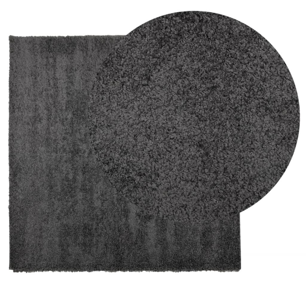 Vidaxl rug Paramploa Shamgy héich Pile 160x16 cm Anthhacit