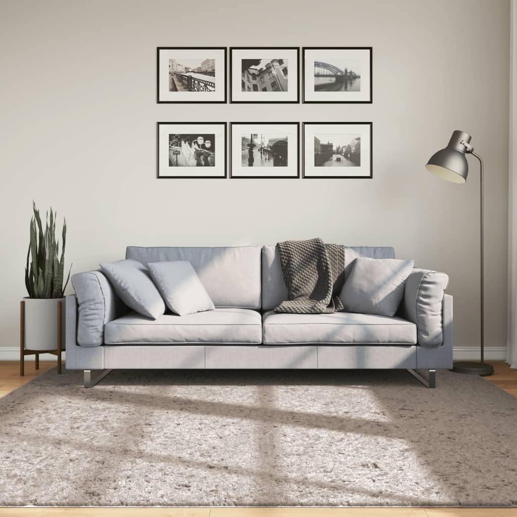 Vidaxl Rug Pamplona Shamgy héich modern 200x200 cm Beiere