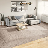 Vidaxl Rug Pamplona Shaggy meget moderne 300x400 cm beige