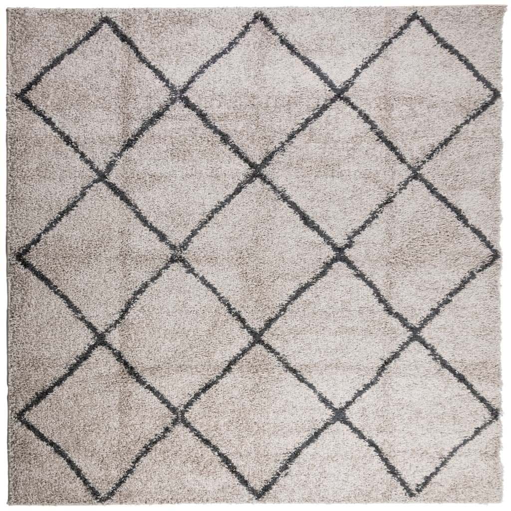 Vidaxl rug Pamplona Shaggy Highly pile 160x160 cm Beige Anthracite