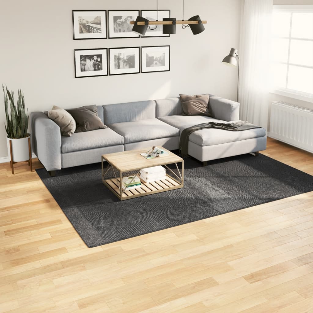 Vidaxl Rug Iza Low -Pile Scandinavian 200x280 cm antracit