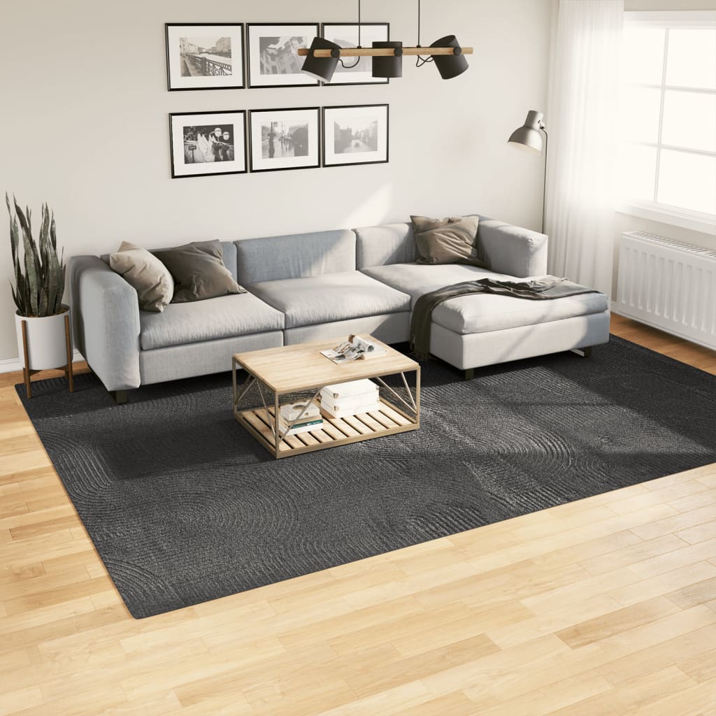 Vidaxl Rug Iza Low -Bile Scandinavian 240x340 cm Anthracite