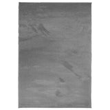 Tapis Vidaxl Oviedo Low -Pile 120x170 cm anthracite -colored