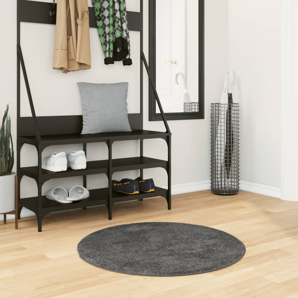 Vidaxl Rug Oviedo Low -Pile Ø 80 cm Anthracite -farvet