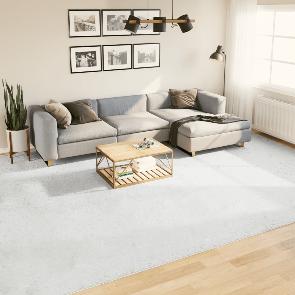 Vidaxl rug Oviedo Low -pile 300x400 cm Gray