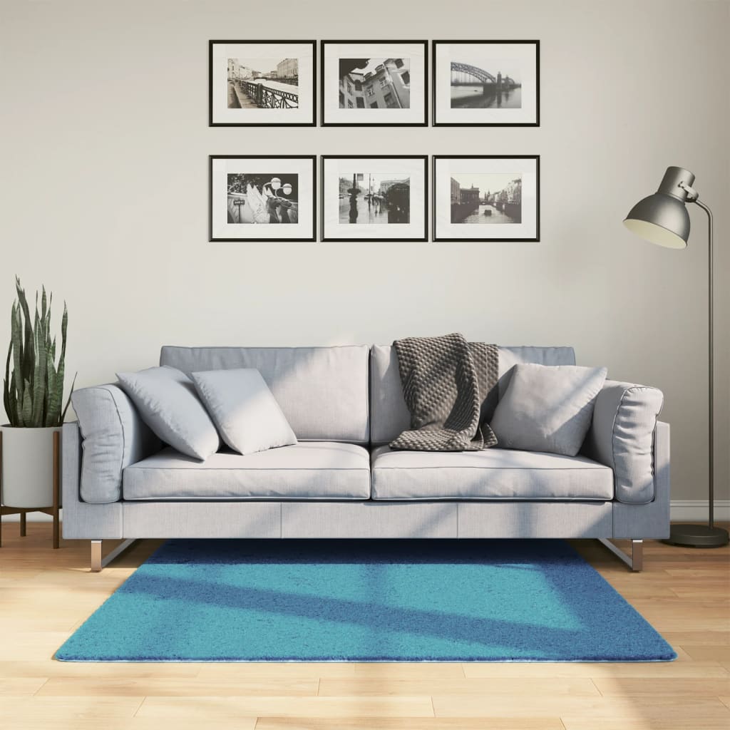 Vidaxl rug Oviedo Low -pile 120x120 cm Turquoise