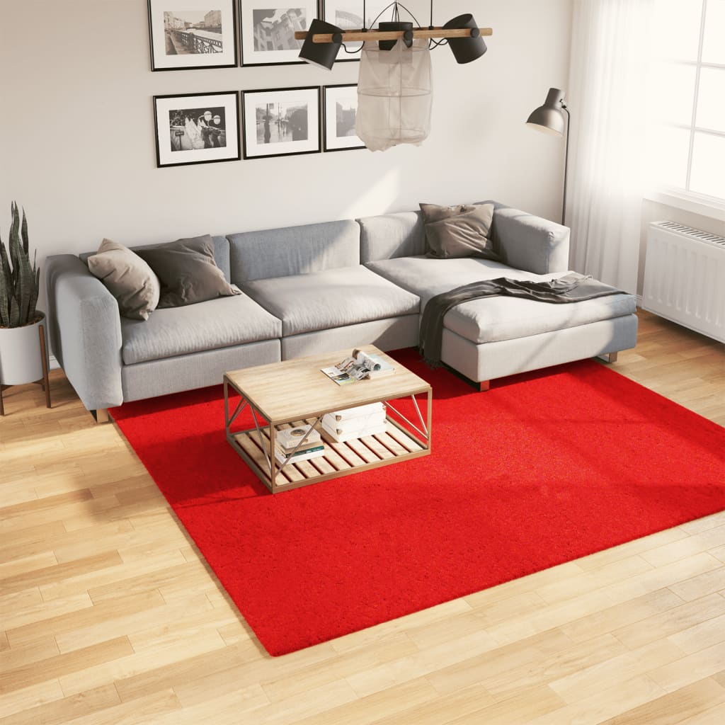 Vidaxl Rug Oviedo Low -Boile 240x240 cm rød