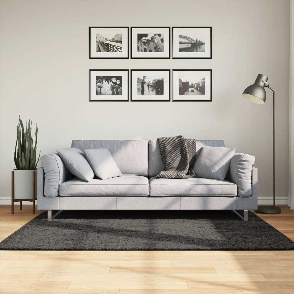 Vidaxl Teppich Istan hoher Stapel glänzend 120 x 170 cm Anthrazit -Verschärft