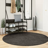 Vidaxl Rug Istan All -Bile Glossy Ø 160 cm Anthracite -farget