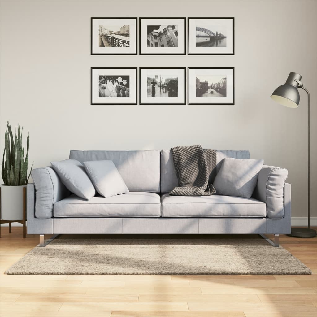 Vidaxl teppe istan høy haug blank 80x150 cm beige