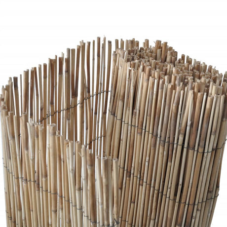 Vidaxl tuinscherm 300x100 cm riet
