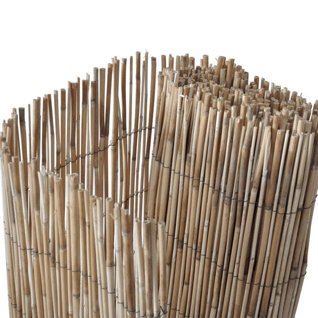 Vidaxl tuinscherm 500x80 cm riet