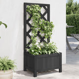 Plantador Vidaxl con Latwerk Solid Vurenhout Black