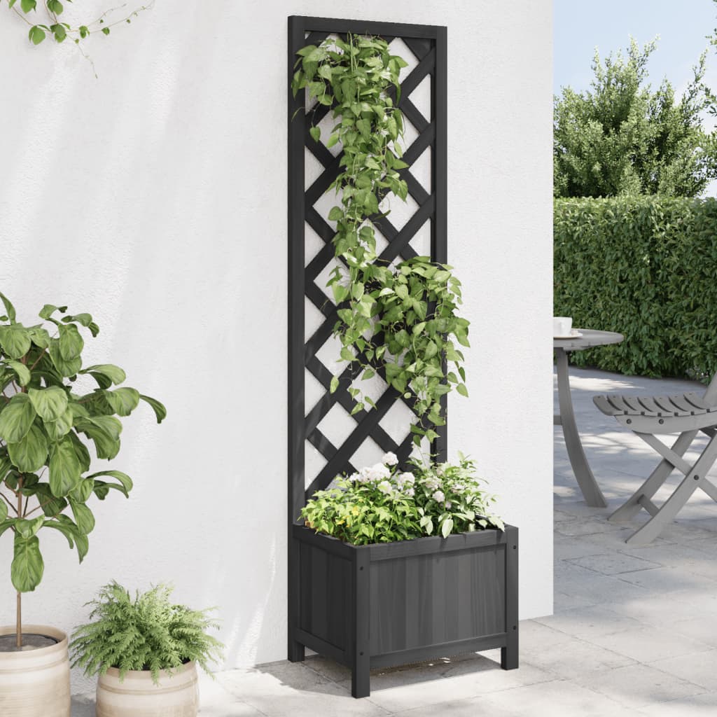 Vidaxl Planter med Latwerk Solid Vurenhout Black