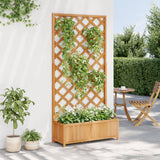 Jardinière vidaxl avec latwerk solide Vurenhout marron