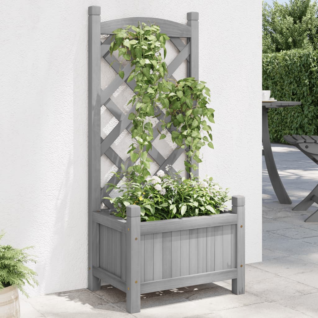 Vidaxl Plannet avec latwerk solide Vurenhout Gray