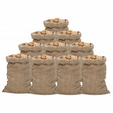 Vidaxl jutezakken 10 stuks 340 g m² 60x105 cm 100% jute